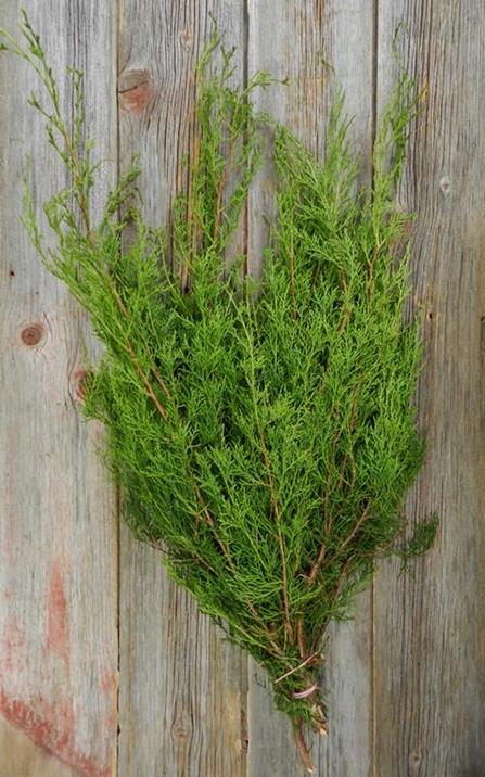 REDWOOD CEDAR CHRISTMAS GREENS